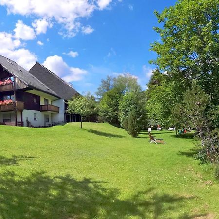 Naturidyll Am Fluss - Ferienhaus Albmatte - Grosser Garten Zum Grillen Und Entspannen-Direkt Neben Dem Radon Revitalbad Mit Sauna Und Thermalbecken St. Blasien Eksteriør bilde