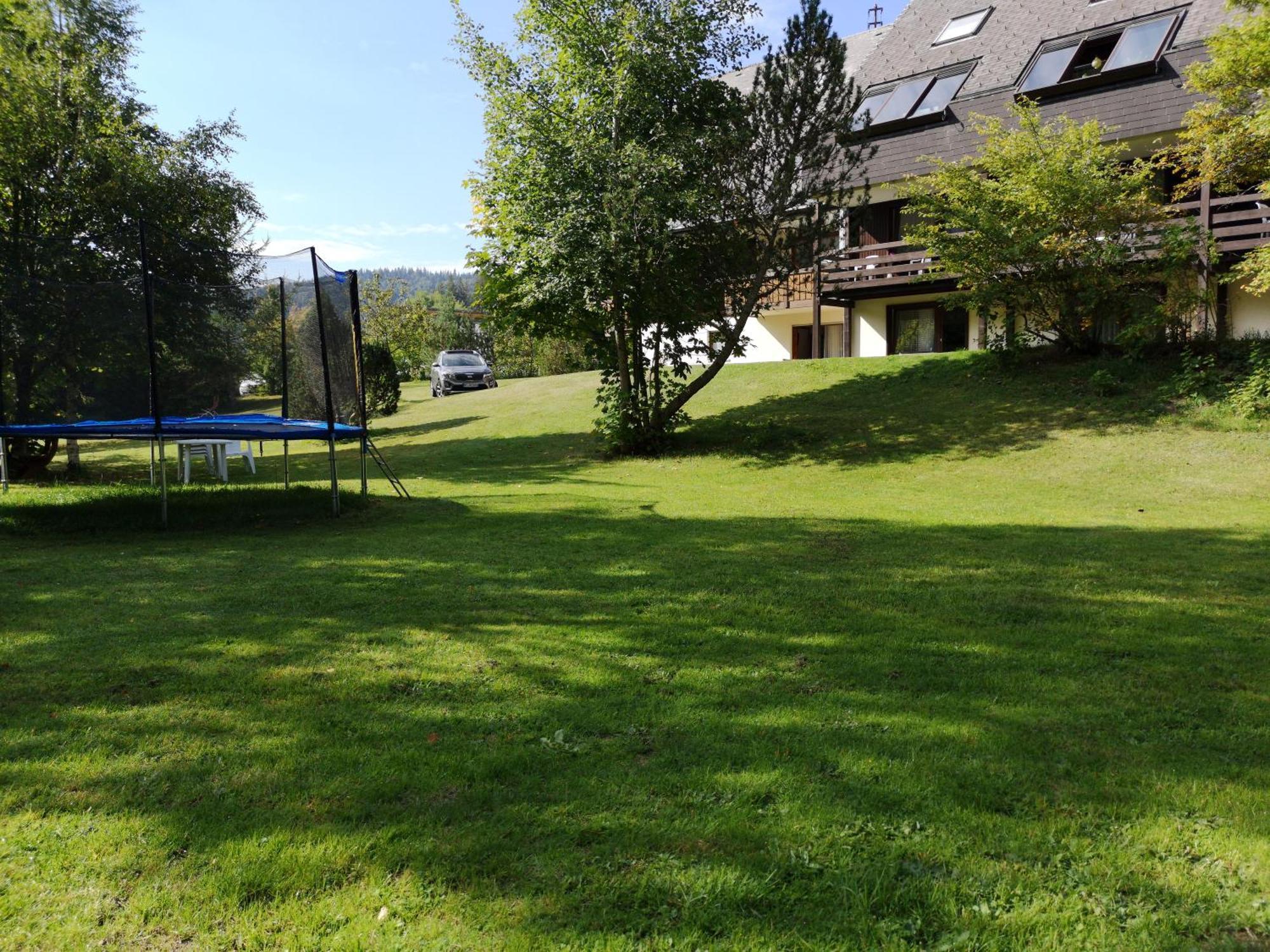 Naturidyll Am Fluss - Ferienhaus Albmatte - Grosser Garten Zum Grillen Und Entspannen-Direkt Neben Dem Radon Revitalbad Mit Sauna Und Thermalbecken St. Blasien Eksteriør bilde