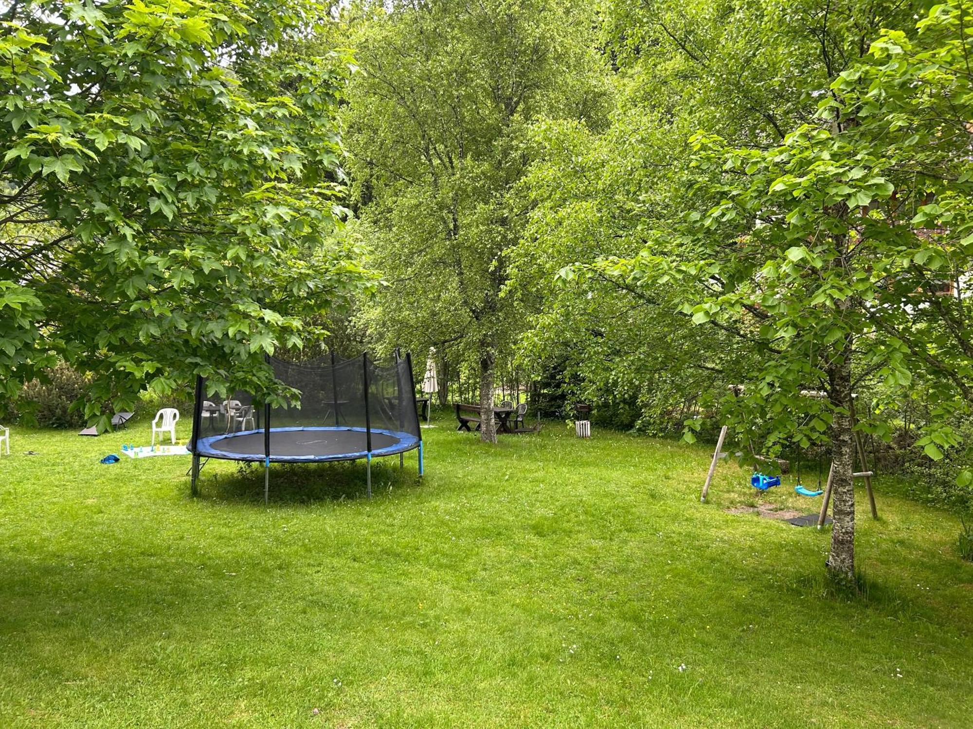 Naturidyll Am Fluss - Ferienhaus Albmatte - Grosser Garten Zum Grillen Und Entspannen-Direkt Neben Dem Radon Revitalbad Mit Sauna Und Thermalbecken St. Blasien Eksteriør bilde