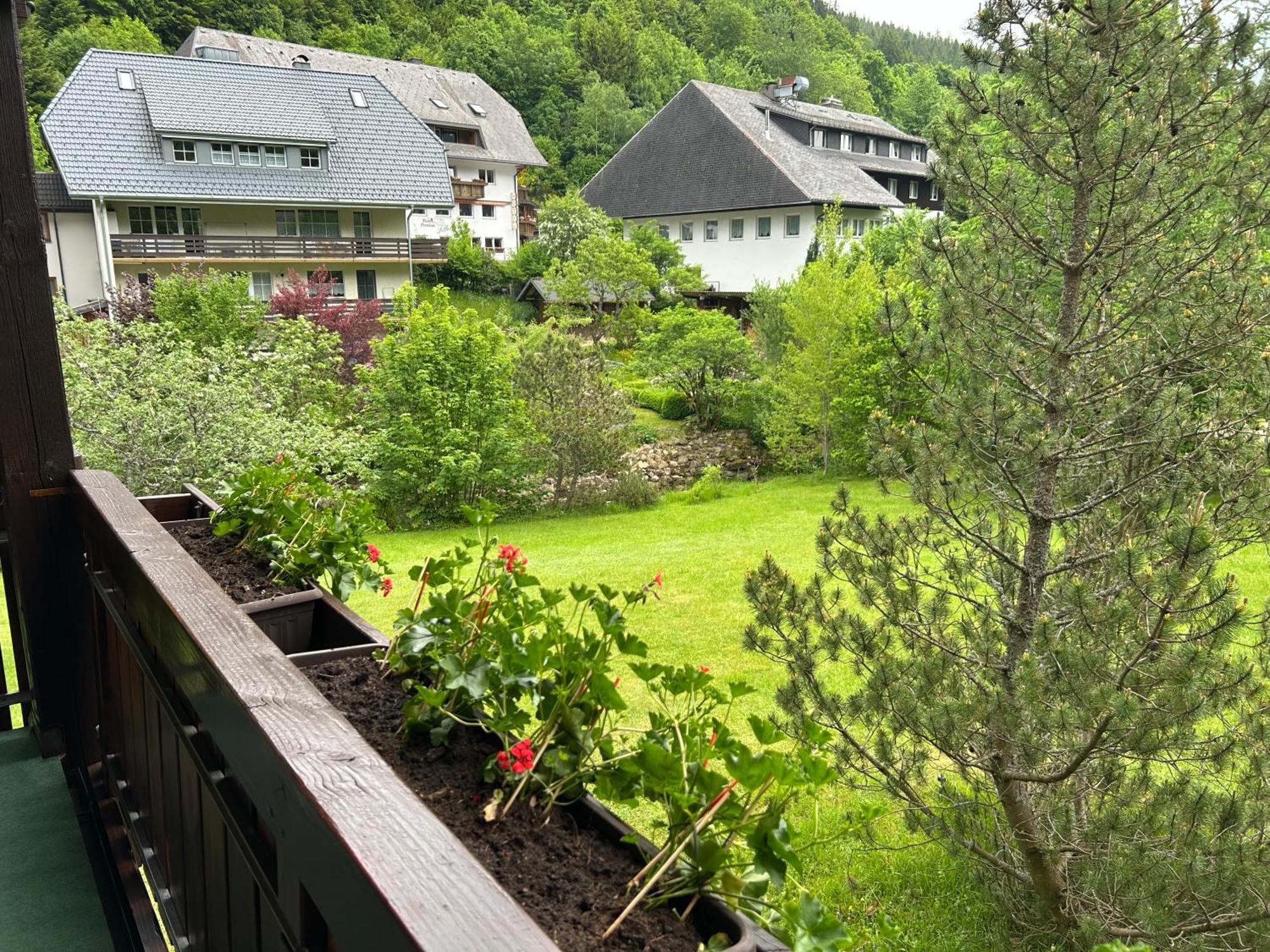 Naturidyll Am Fluss - Ferienhaus Albmatte - Grosser Garten Zum Grillen Und Entspannen-Direkt Neben Dem Radon Revitalbad Mit Sauna Und Thermalbecken St. Blasien Eksteriør bilde