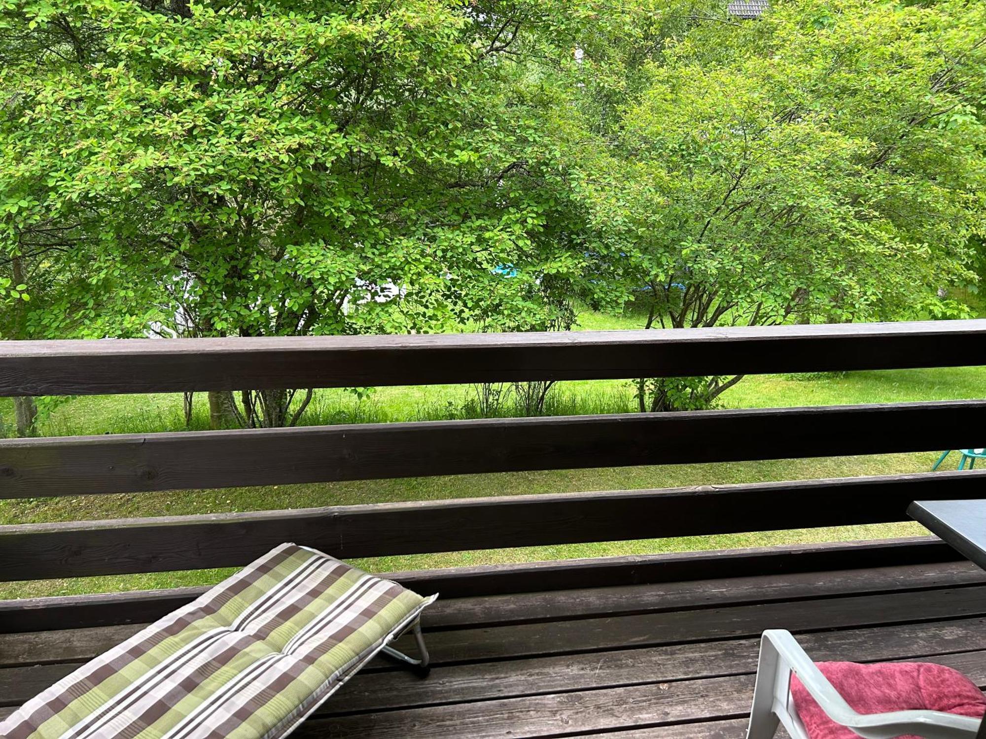 Naturidyll Am Fluss - Ferienhaus Albmatte - Grosser Garten Zum Grillen Und Entspannen-Direkt Neben Dem Radon Revitalbad Mit Sauna Und Thermalbecken St. Blasien Eksteriør bilde