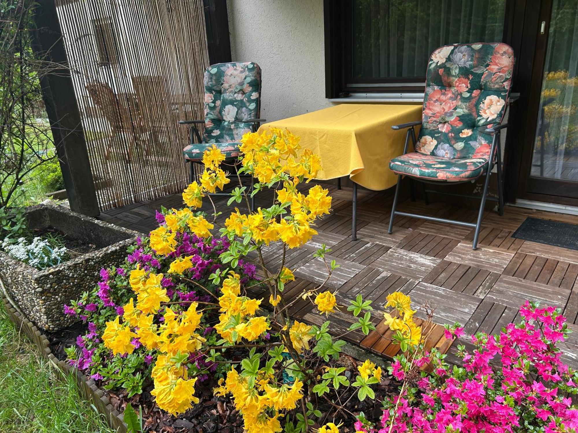 Naturidyll Am Fluss - Ferienhaus Albmatte - Grosser Garten Zum Grillen Und Entspannen-Direkt Neben Dem Radon Revitalbad Mit Sauna Und Thermalbecken St. Blasien Eksteriør bilde
