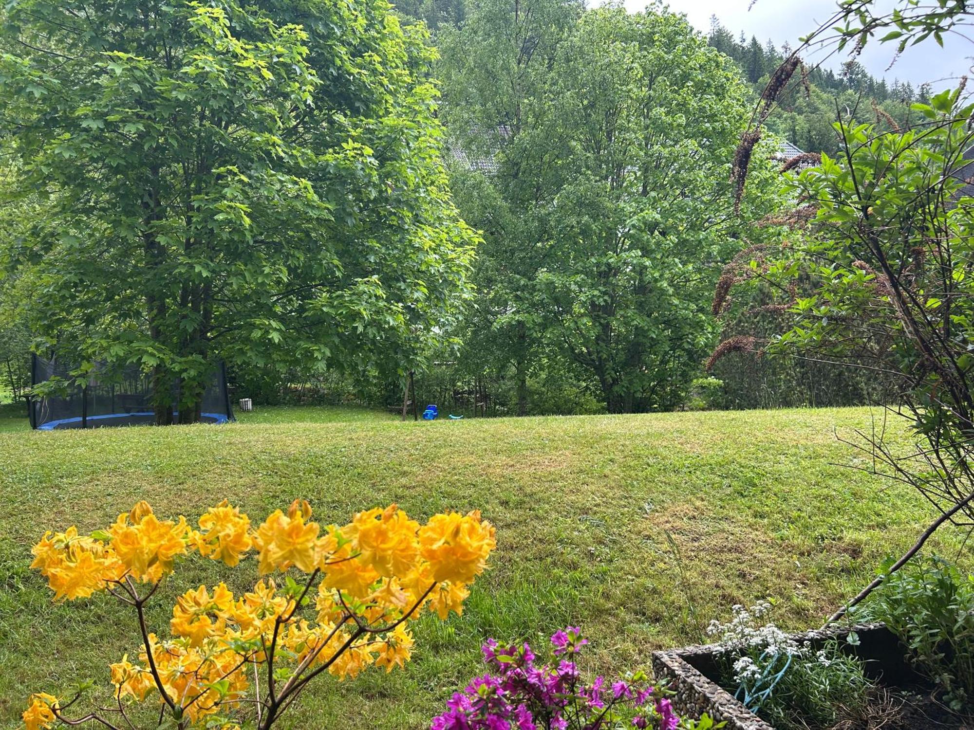 Naturidyll Am Fluss - Ferienhaus Albmatte - Grosser Garten Zum Grillen Und Entspannen-Direkt Neben Dem Radon Revitalbad Mit Sauna Und Thermalbecken St. Blasien Eksteriør bilde